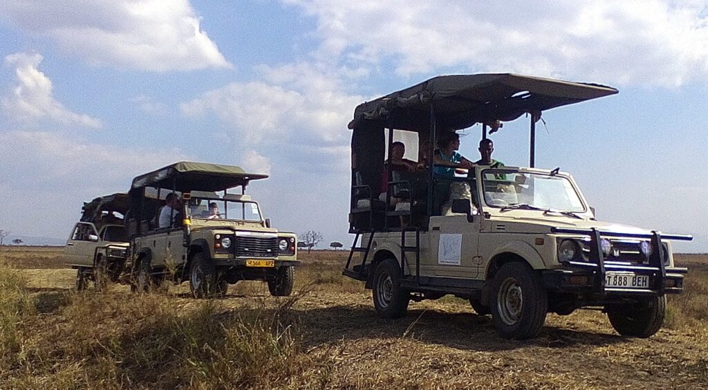 Side Opened safari jeeps on game drives in Mikumi National Park-Ultimate-Unforgettable-Best-Tanzania-Safari-Experiences