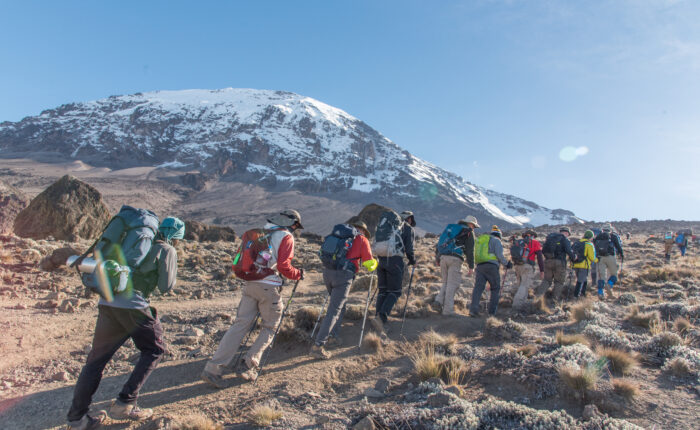 Kilimanjaro trekking
